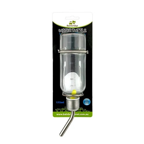 Glass Water Bottle