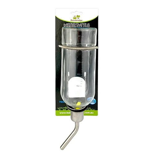 Glass Water Bottle