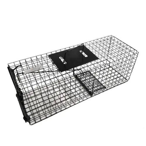 Animal Trap