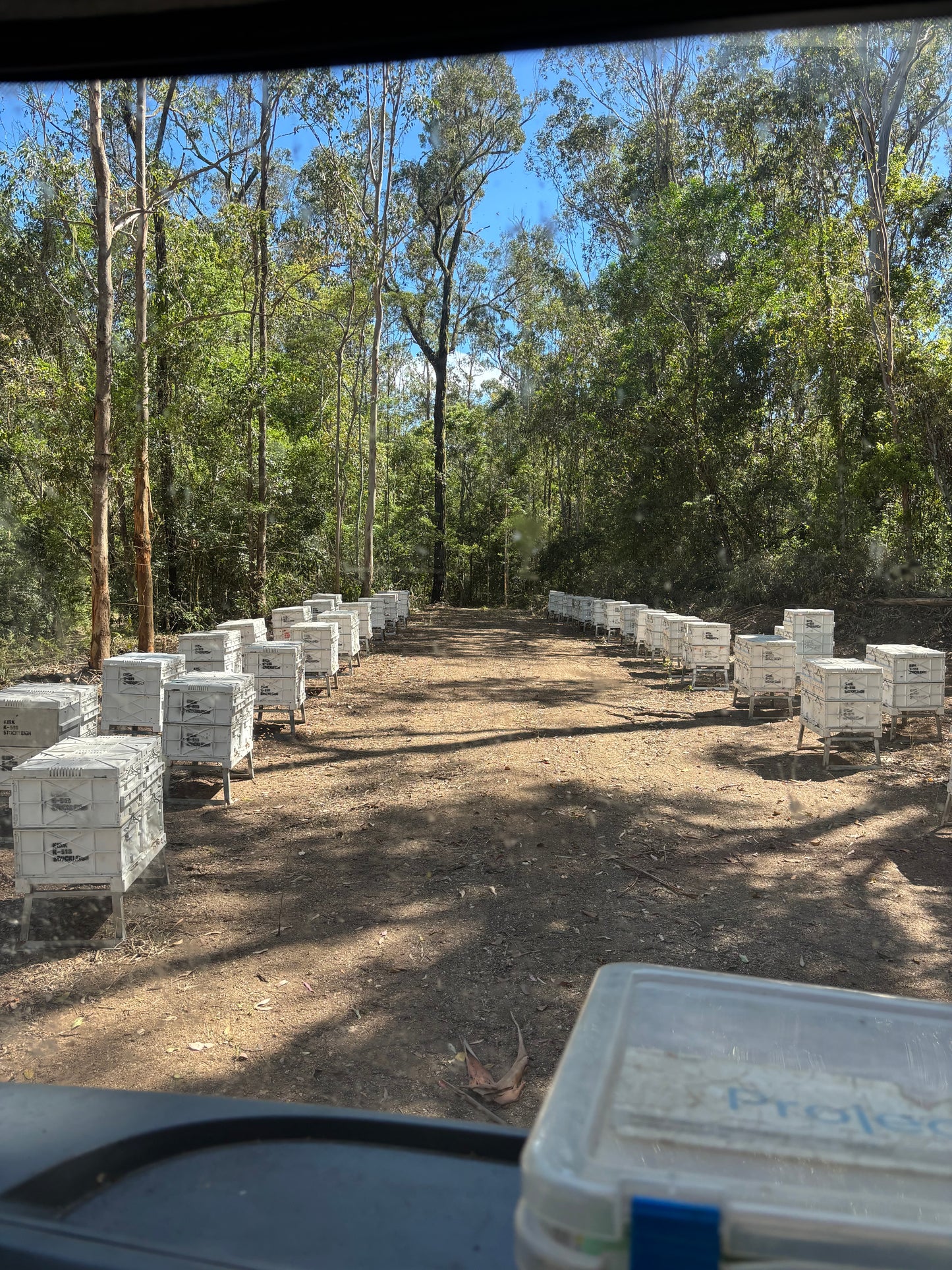 Bulk Honey 20kg Pail - Included Delivery Brisbane