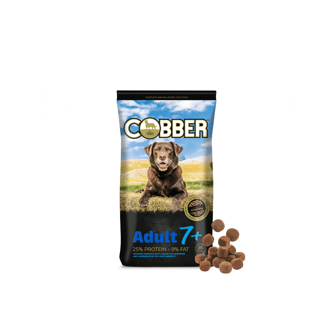 Cobber Adult 7+ 20kg Dog Food
