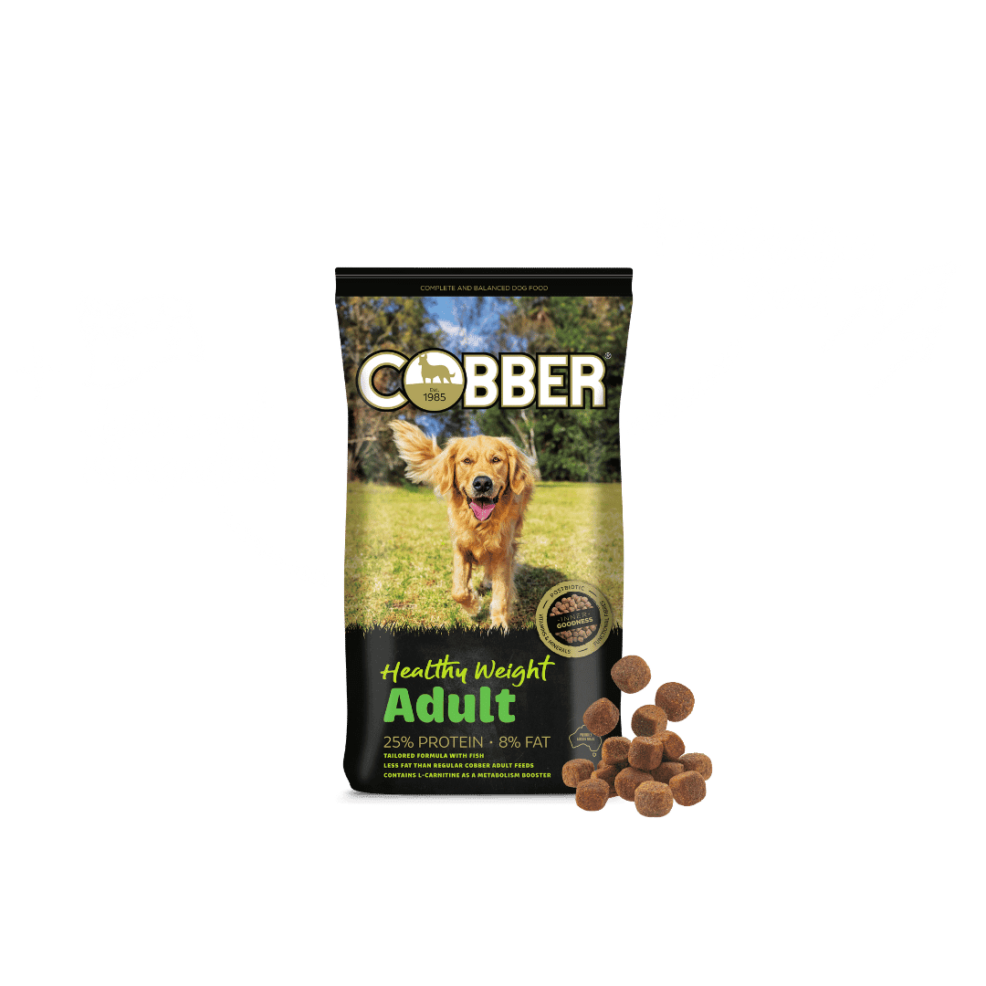 Cobber Healthy Weight 20kg Dog Food