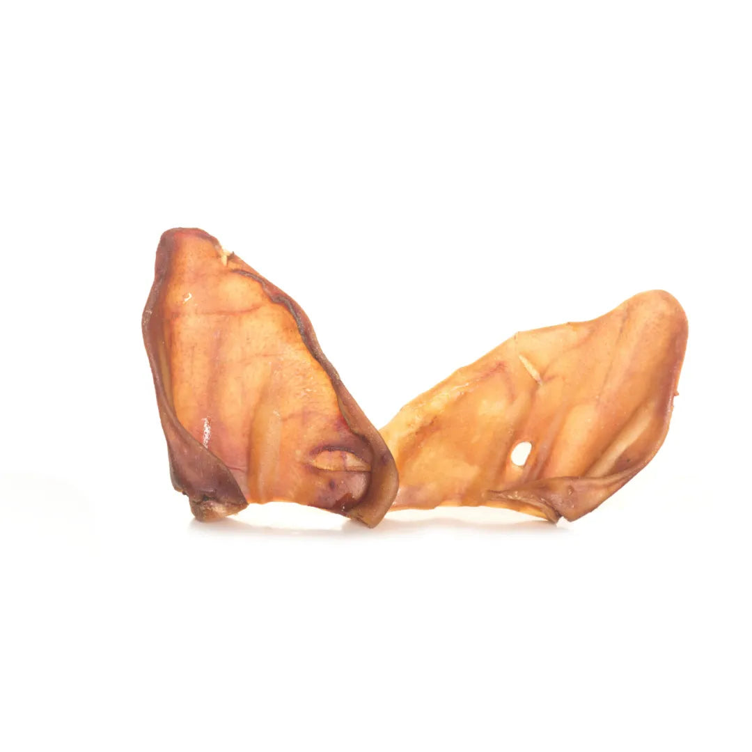 Next Generation Australian Pig Ears