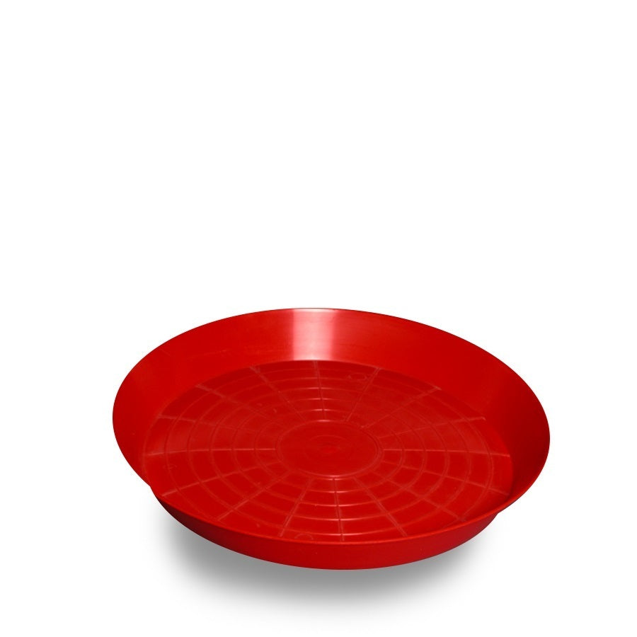 Feeding Tray