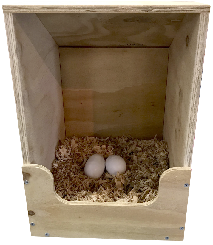 Chicken Layer Box