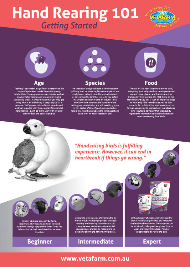 Neocare Hand Rearing Food