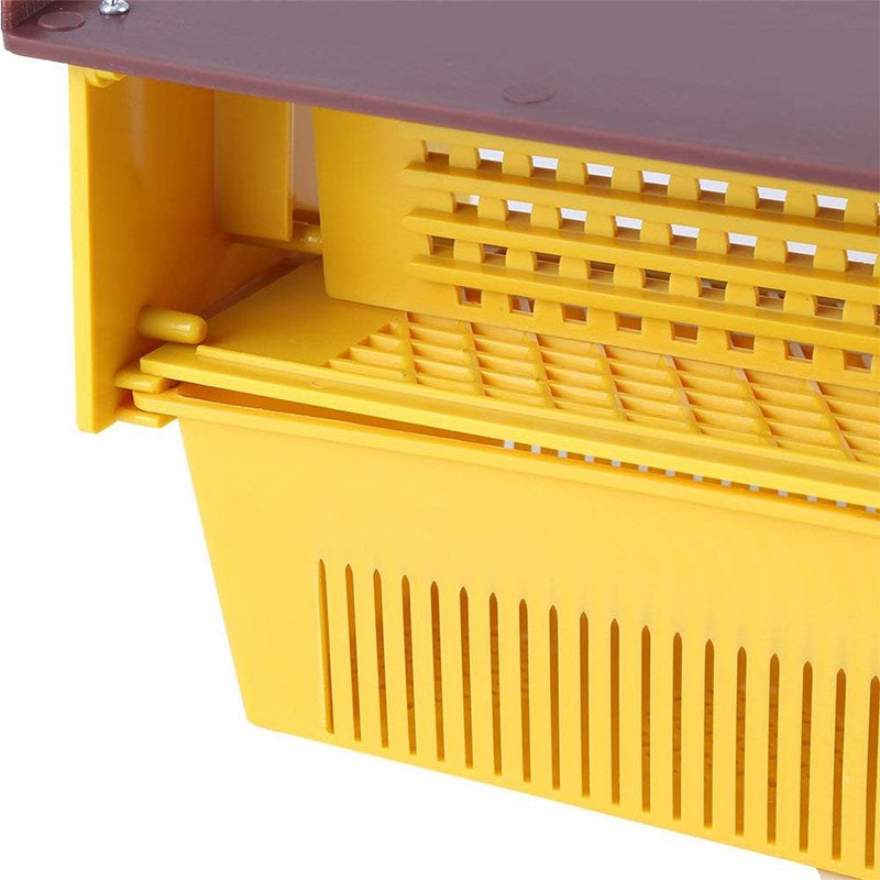Pollen Trap With Hanging Holes