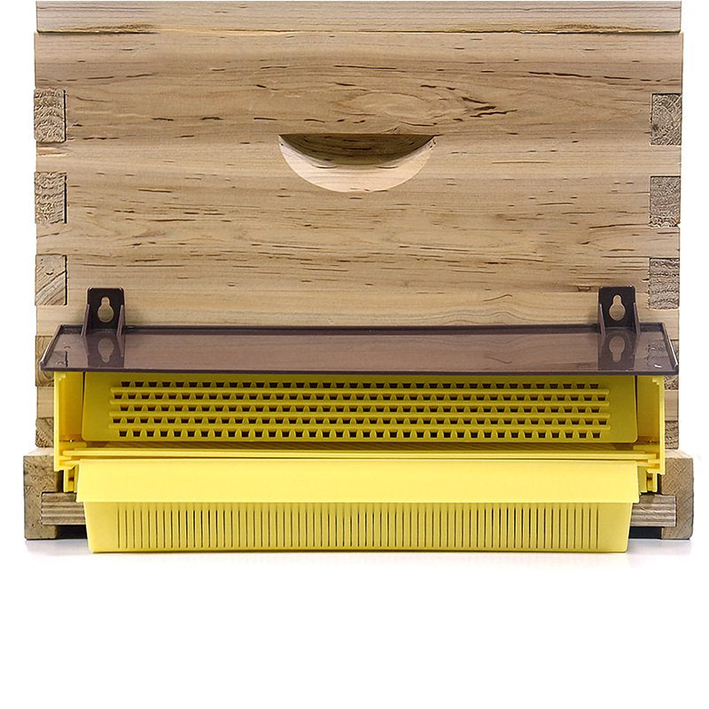 Pollen Trap With Hanging Holes