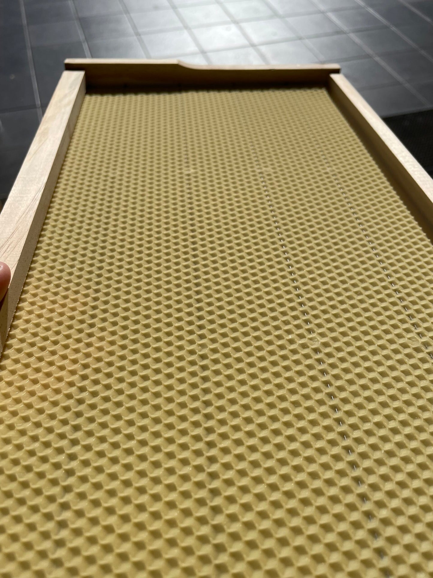 Frame with Wax Foundation
