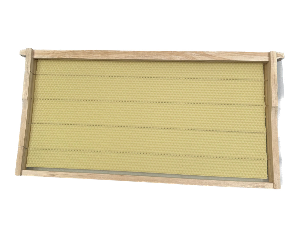 Frame with Wax Foundation