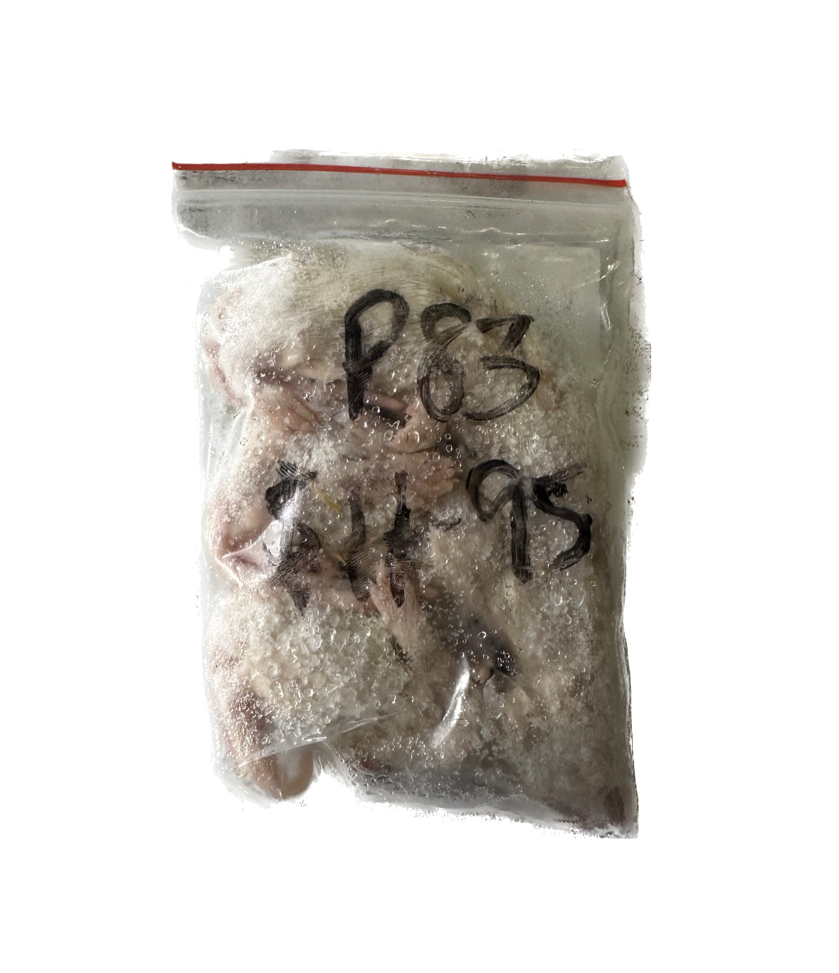 Frozen Rat Fuzzies - 3 Pack