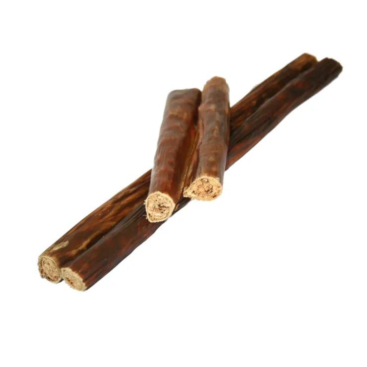 Next Generation Gourmet Chew Small
