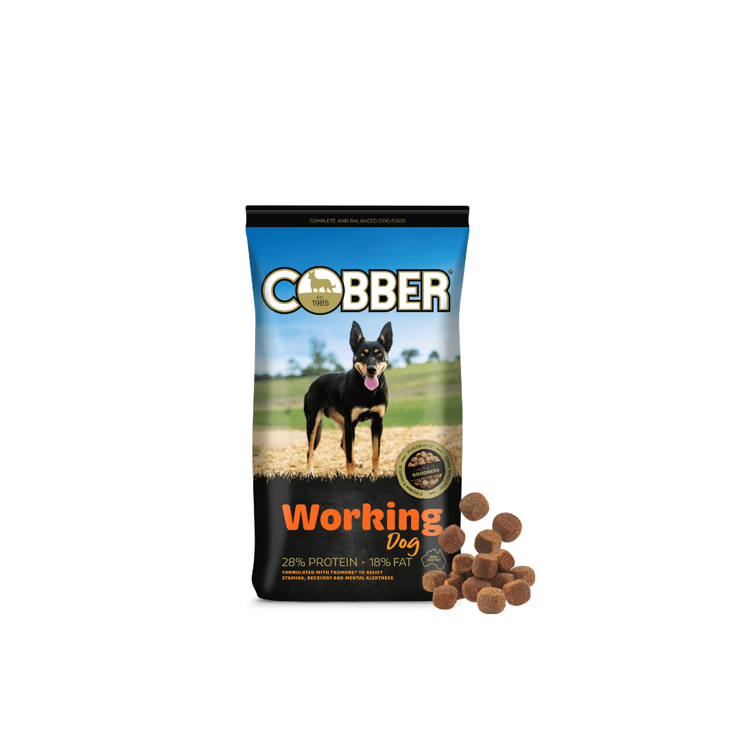 Cobber Working 20kg Dog Food
