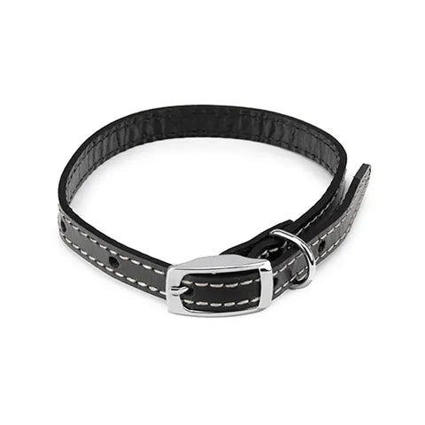 Leather Dog Collar
