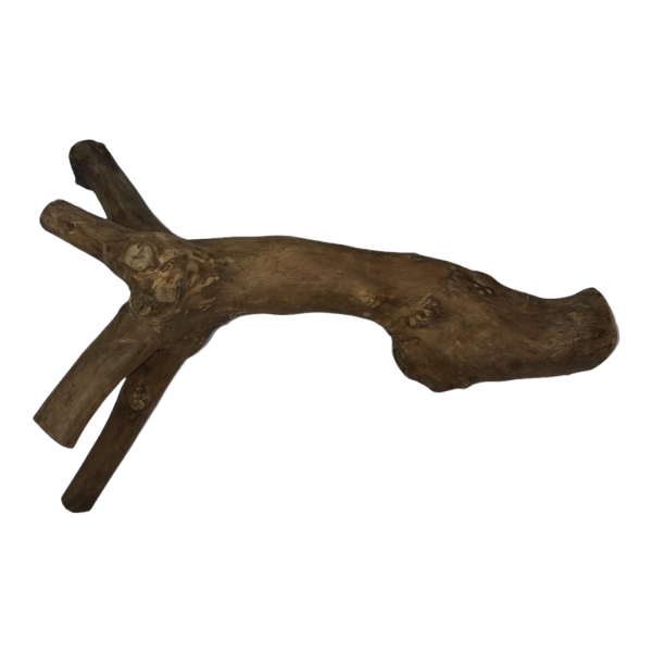 Reptile Branches