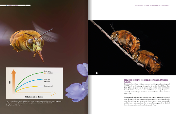 Australian Native Bees AgGuide