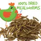 Freeze Dried Mealworms