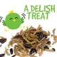Freeze Dried Mealworms & Bug Mix