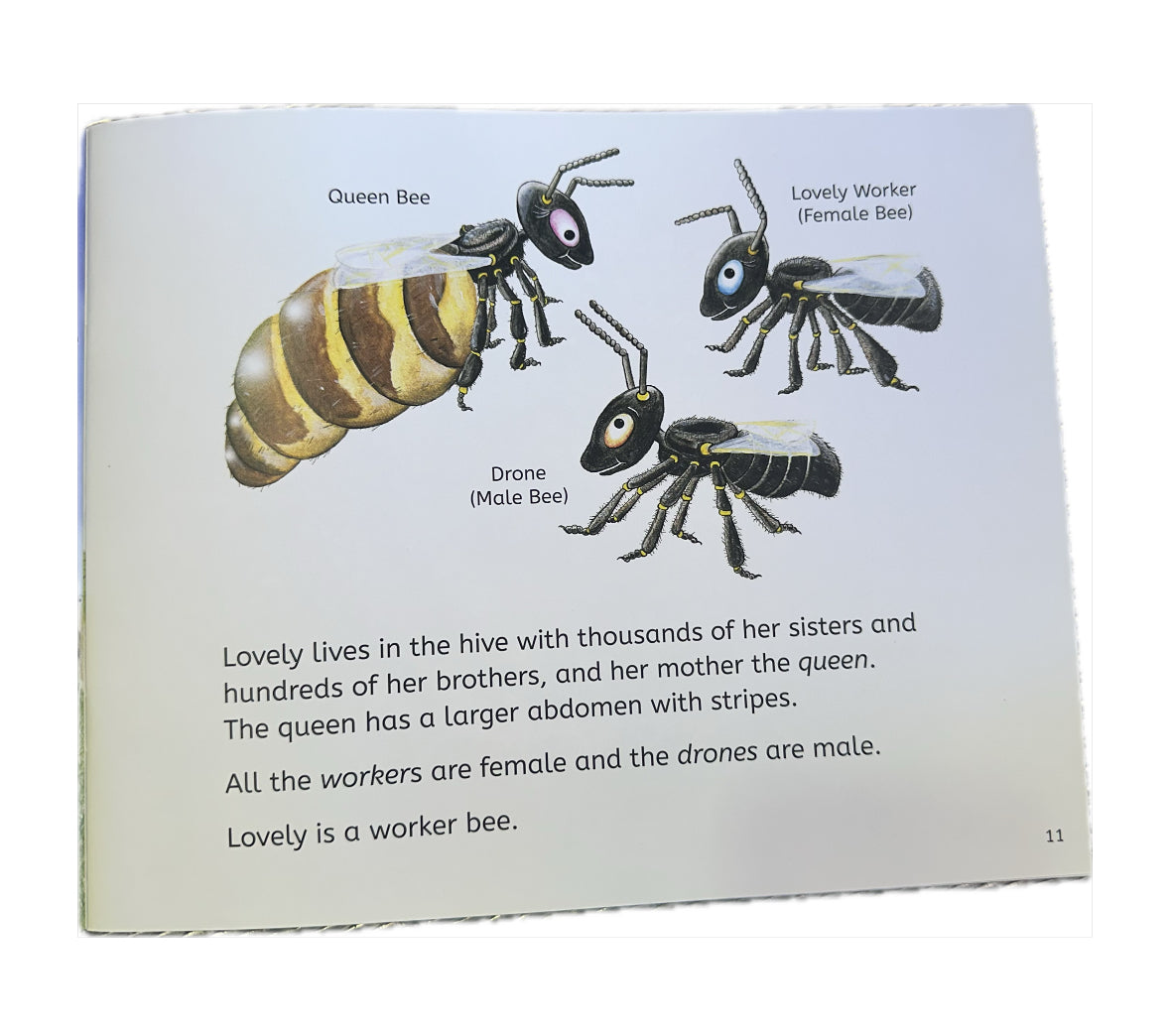 Lovely - A story About a Stingless Bee