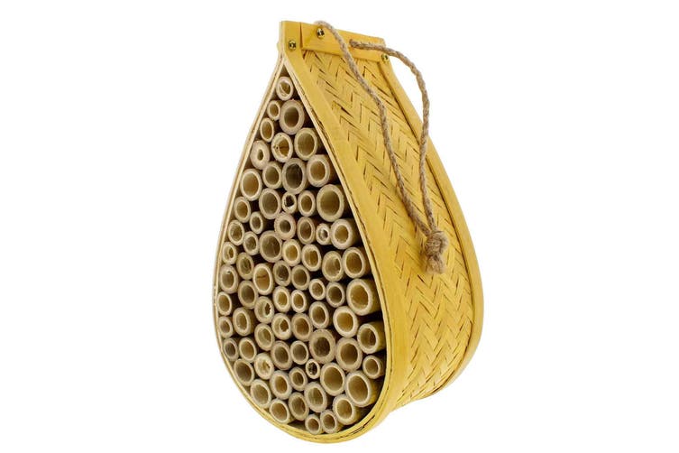 Native Bee Hotel