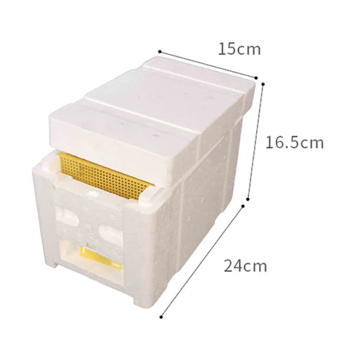 Queen Bee Mating Box