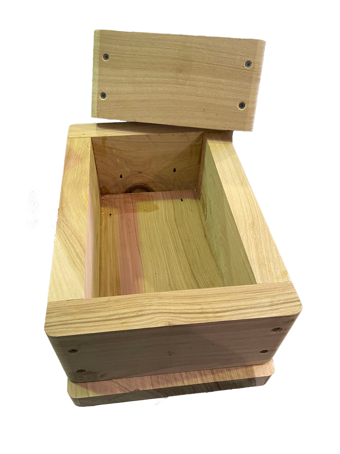 Native Bee Hive Oath Size