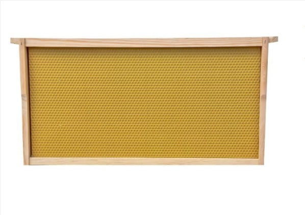 Assembled Frame with Plastic Foundation