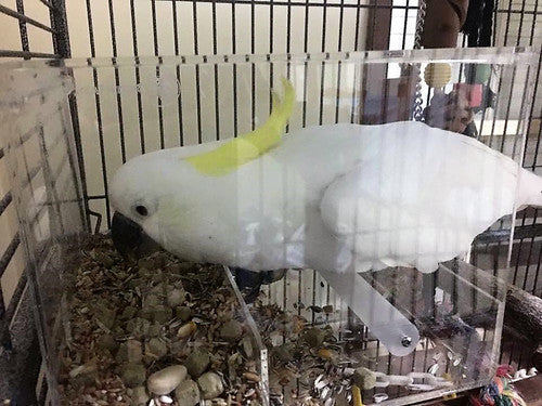 SeedMate NO-MESS Bird Feeder