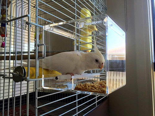 SeedMate NO-MESS Bird Feeder