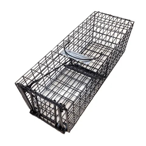 Animal Trap