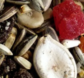 Avigrain Troppo Mix