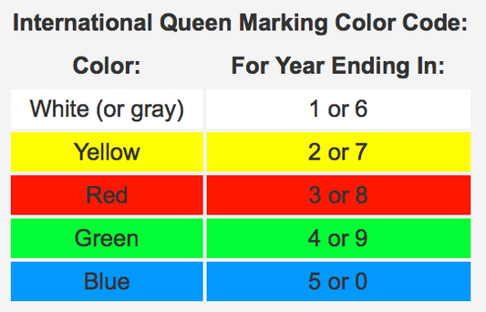 Understanding the Colour/Year Chart for Queen Bees