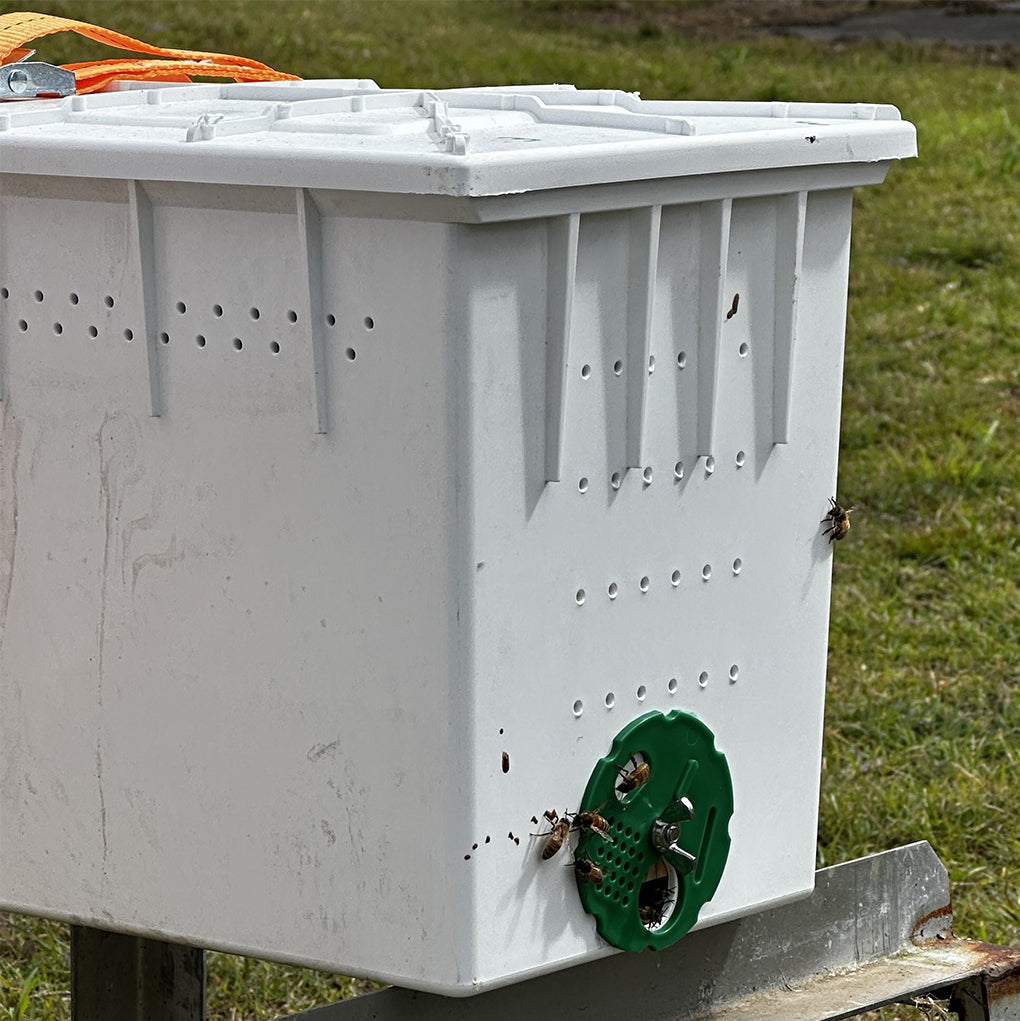 5 Frame Nuc Beehive