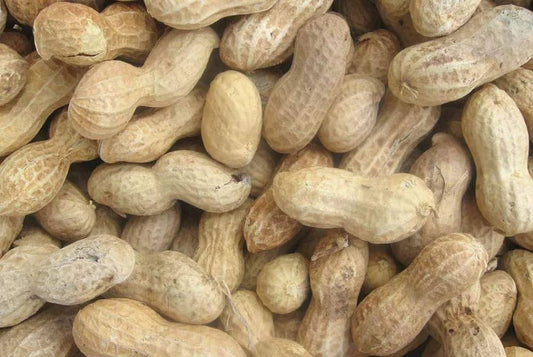 Raw Peanuts In Shell