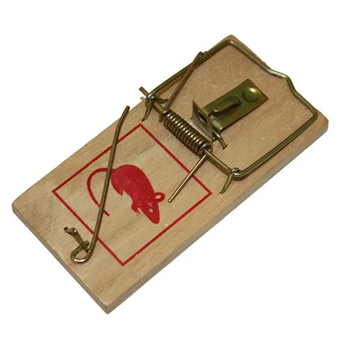 Mouse Snap Trap - 2 Pack