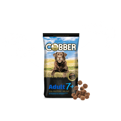 Cobber Adult 7+ 20kg Dog Food