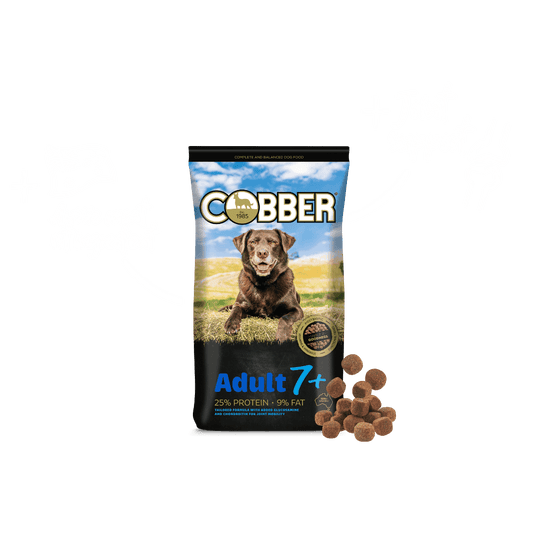 Cobber Adult 7+ 20kg Dog Food