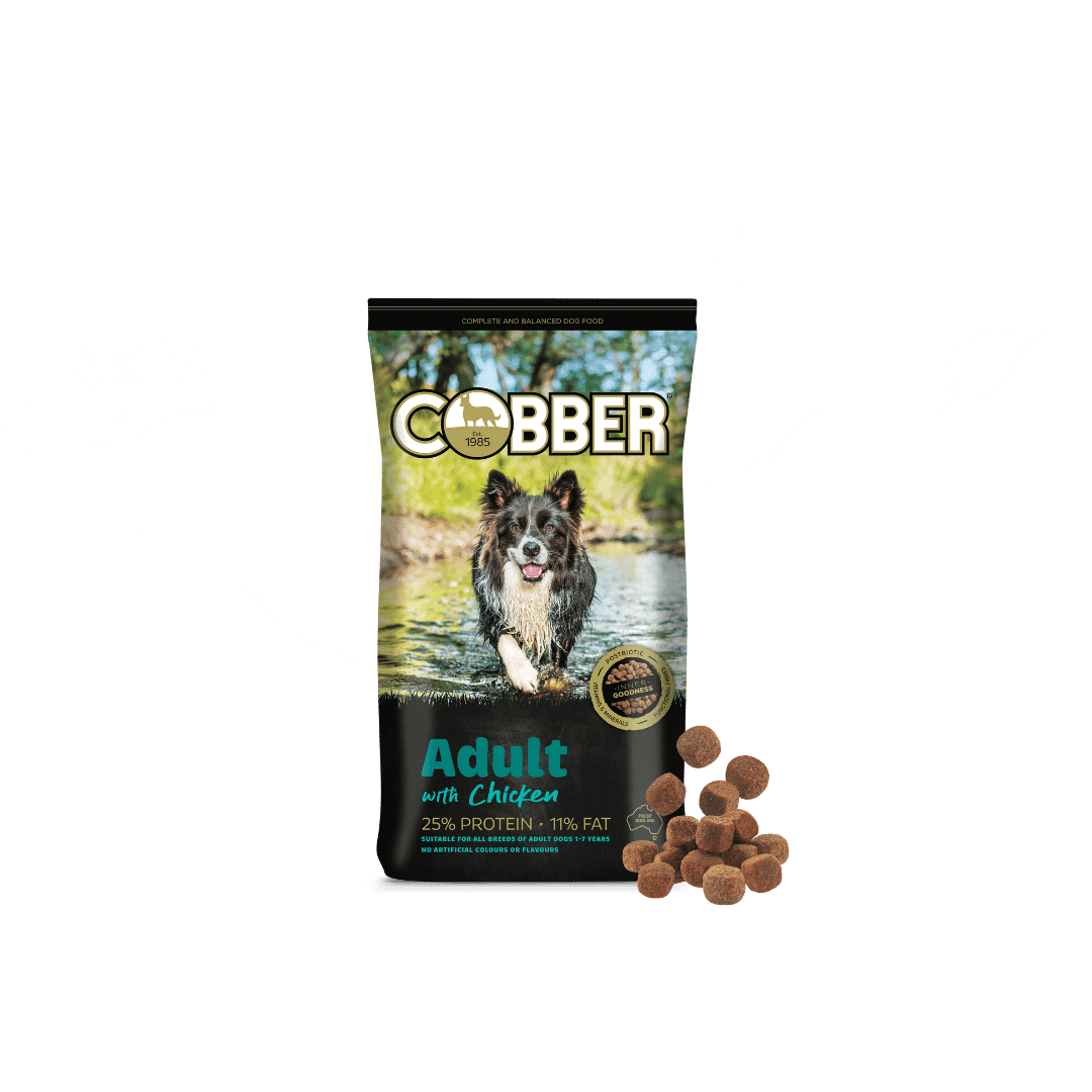 Cobber Adult with Chicken 20kg Dog Food