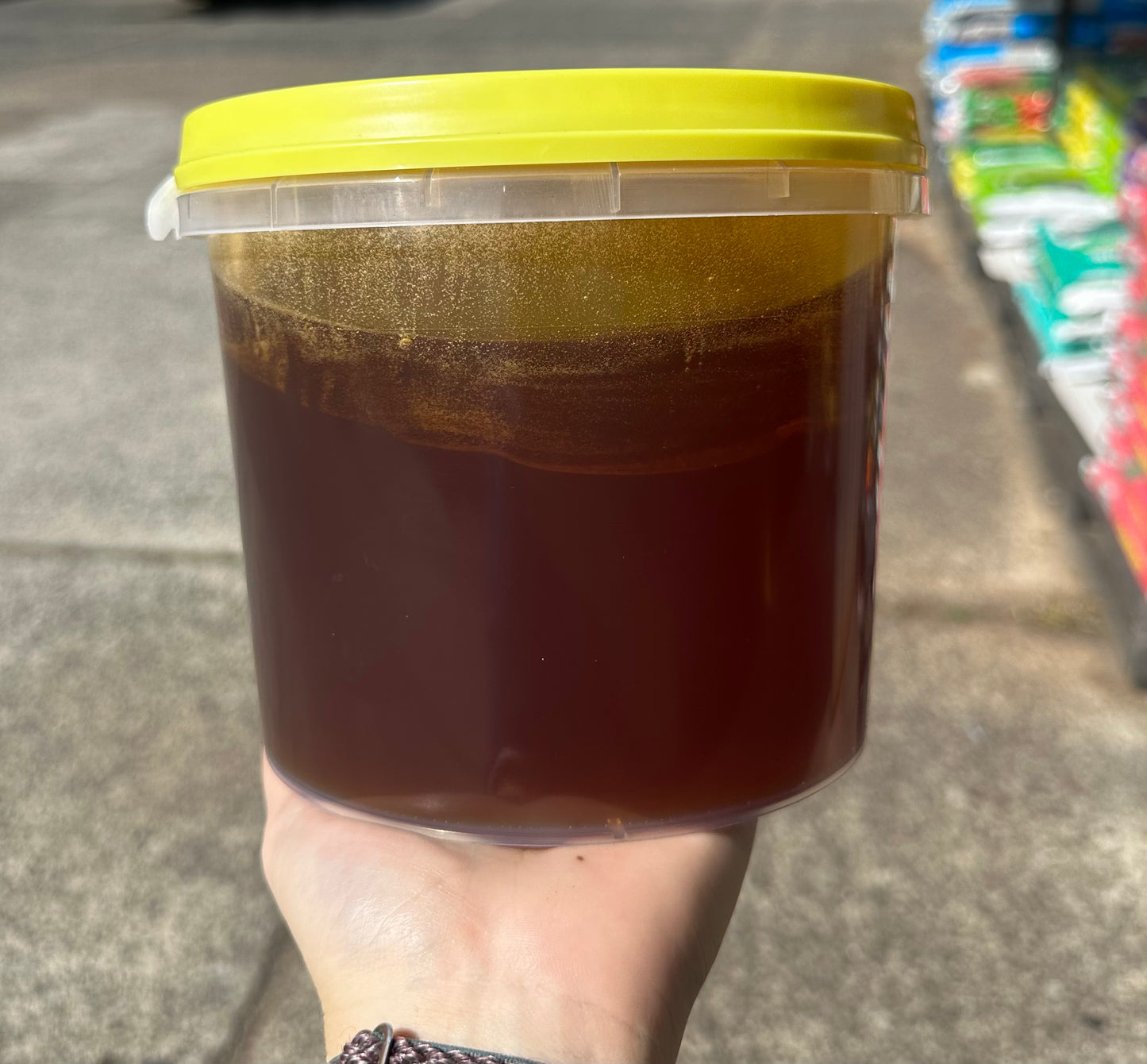 3kg Honey Pot