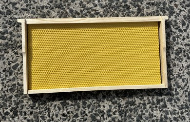 Plastic Foundation Insert Drone Comb