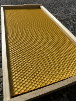 Plastic Foundation Insert Drone Comb