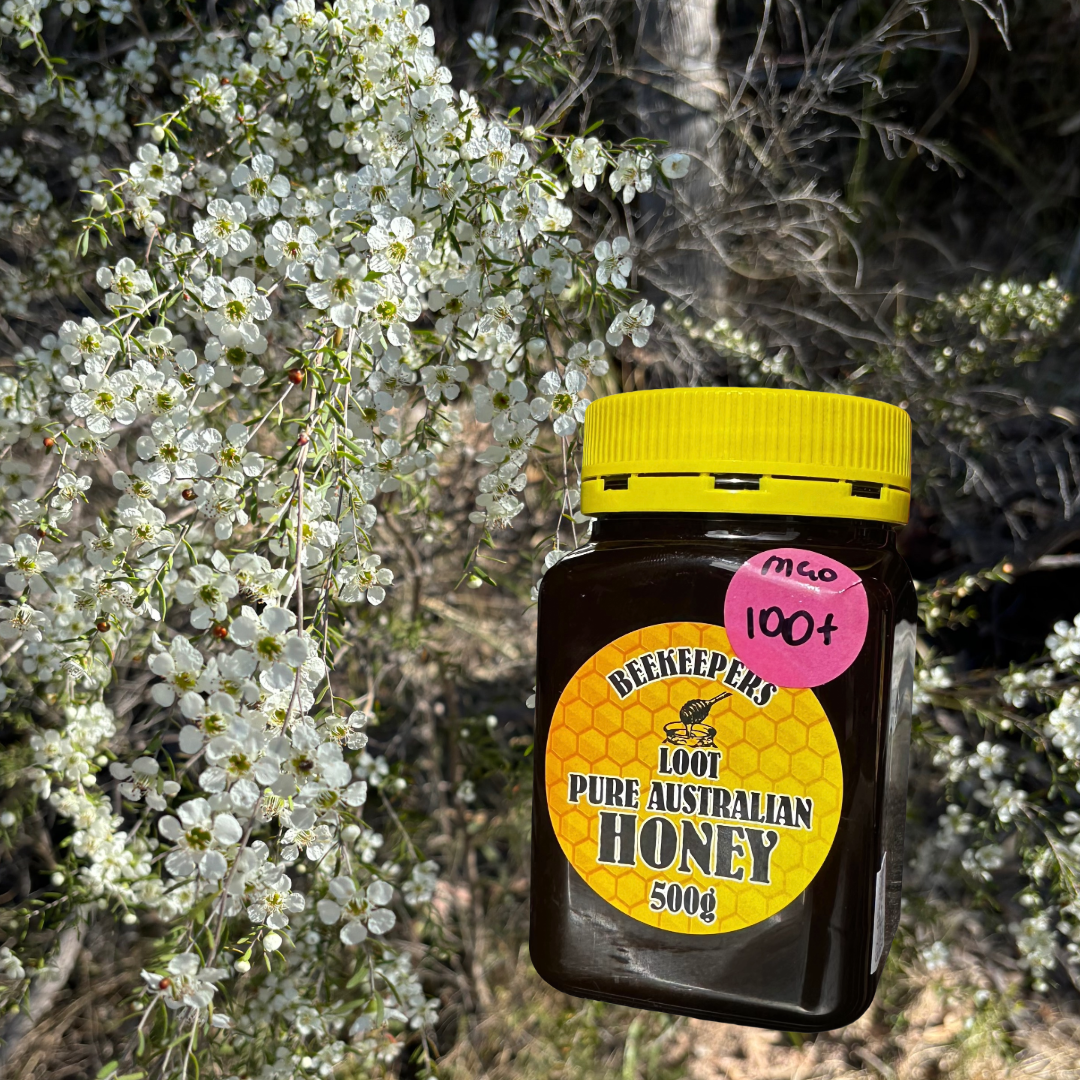 500g Manuka Honey - MGO 100+