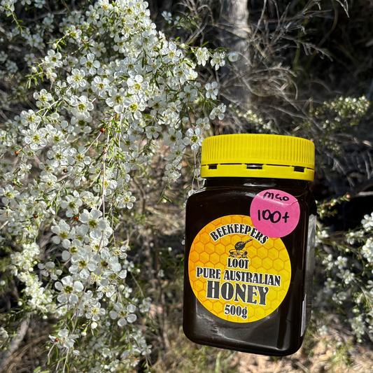 500g Manuka Honey - MGO 100+
