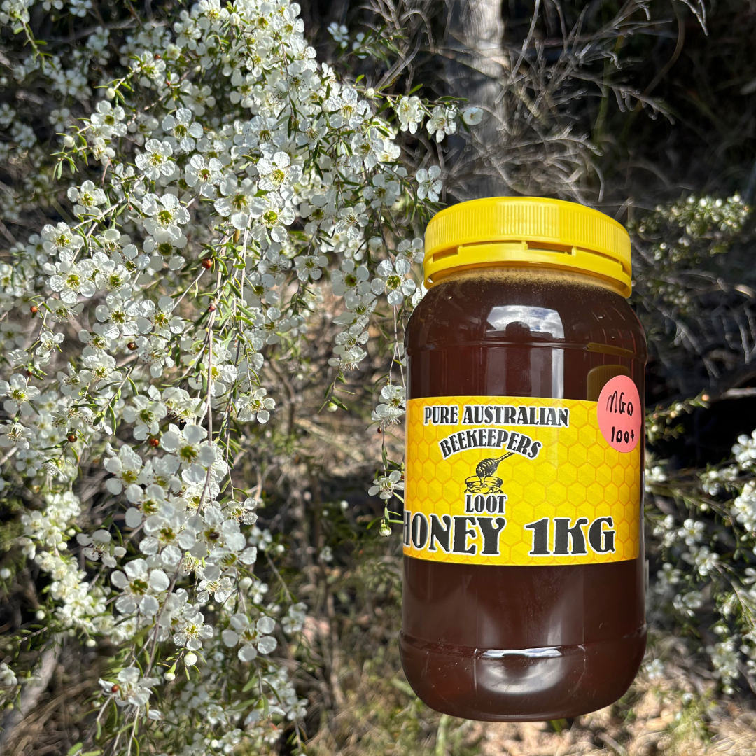 1kg Manuka Honey - MGO 100+