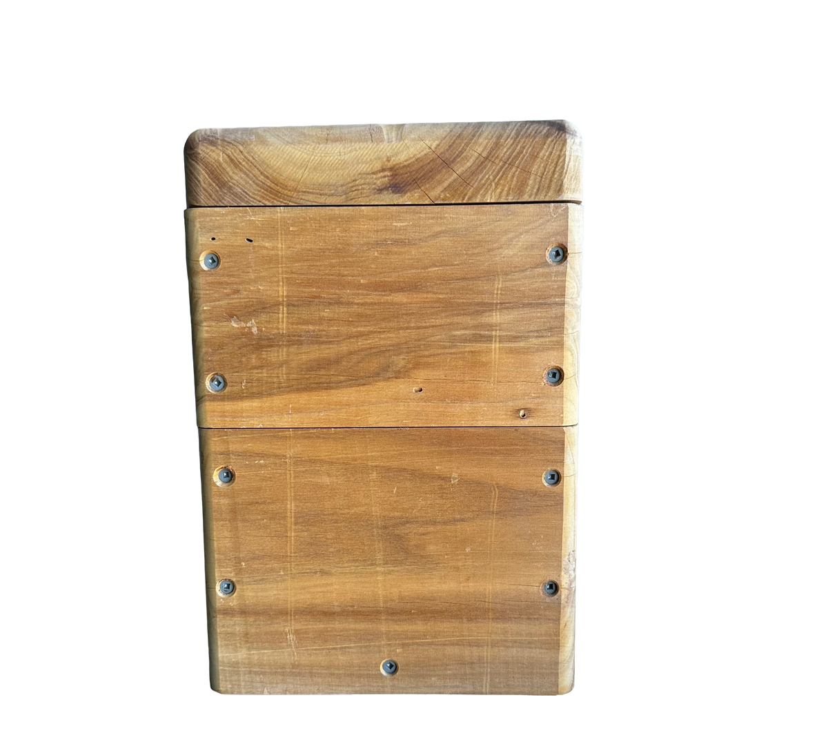 Native Bee Hive Mini Oath Size