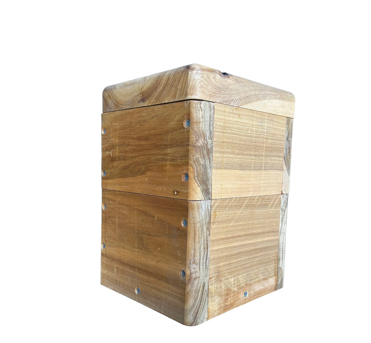 Native Bee Hive Mini Oath Size