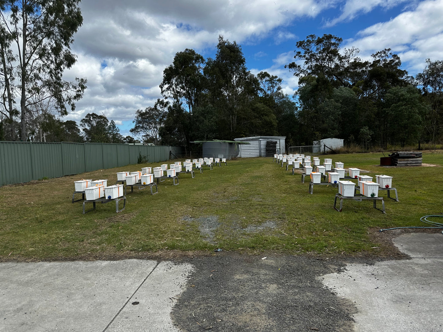 5 Frame Nuc Beehive