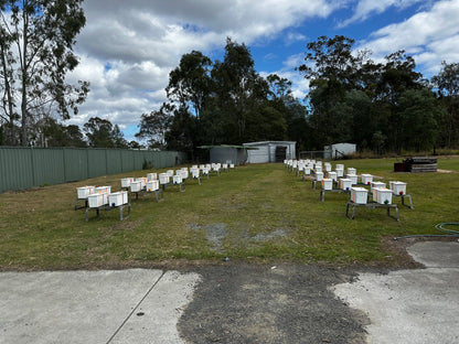 5 Frame Nuc Beehive