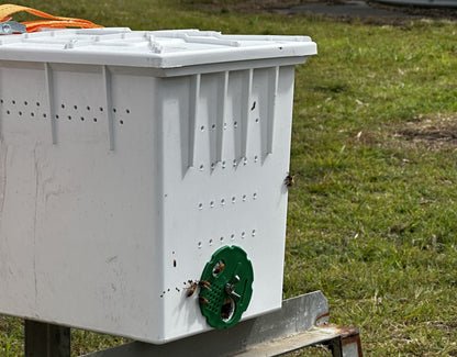 Nuplas Triple Hive Pack with Bees