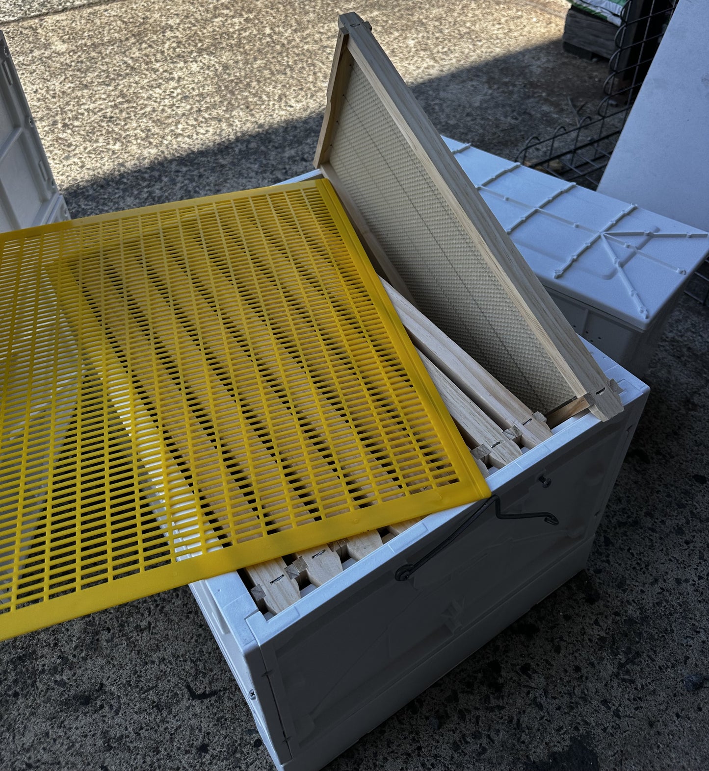 Nuplas Triple Hive Pack with Bees